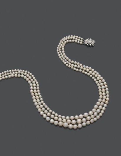 COLLIER de trois rangs de 269 perles fines...