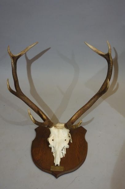 Important deer slaughter.
H. 86 cm - W. 83...