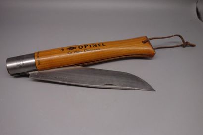 Opinel n°13, The Crowned Hand 
