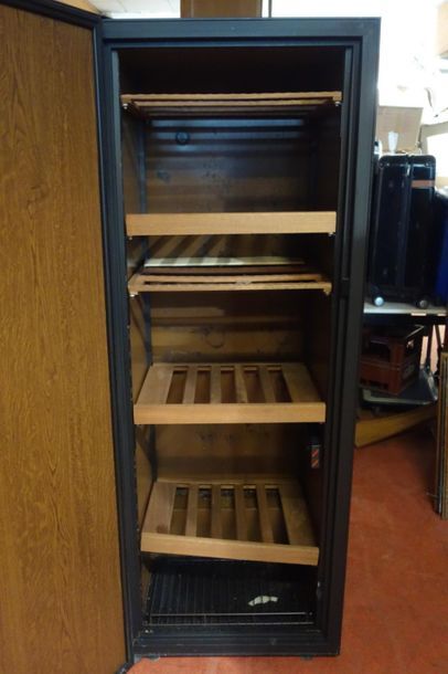 Eurocave, electric wine cellar type V250,...