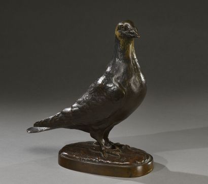 Albert Laplanche (1854-1935) 

Pigeon sur...