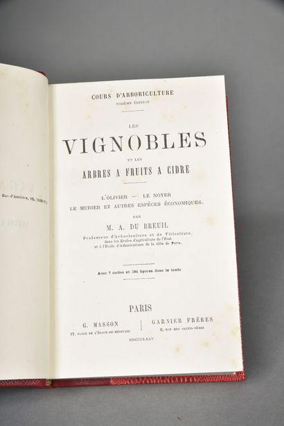DU BREUIL, Les Vignobles et les arbres à...