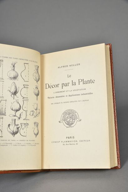 KELLER Alfred, Le décor par la plante, l'ornement...