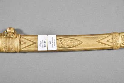 Regulation saber of senior officer of the...