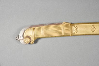 Regulation saber of senior officer of the...