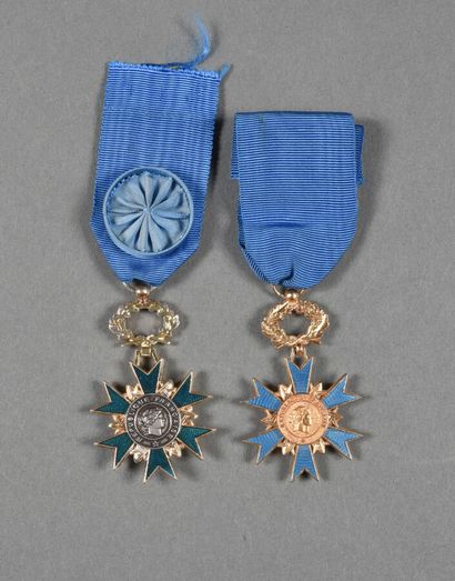 ORDRE NATIONAL DU MERITE, officiers métal,...