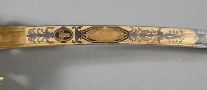 Regulation saber of senior officer of the...