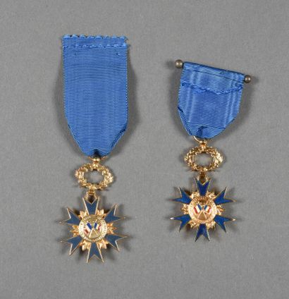 ORDRE NATIONAL DU MERITE, officiers métal,...