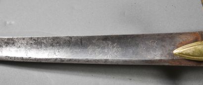 Light Cavalry Officer's saber, 3-pronged...