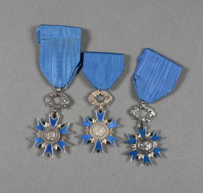 ORDRE NATIONAL DU MERITE, chevalier métal,...