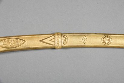 Regulation saber of senior officer of the...