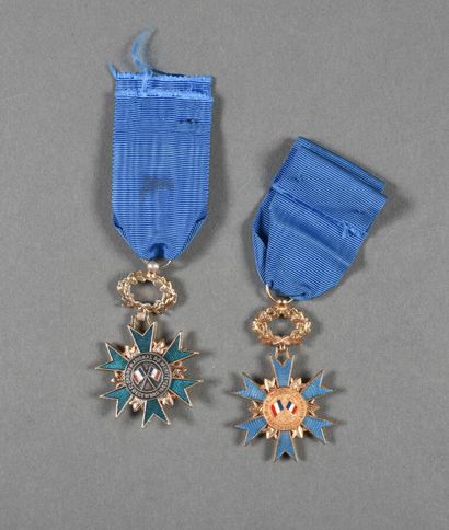 ORDRE NATIONAL DU MERITE, officiers métal,...