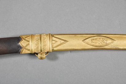 Regulation saber of senior officer of the...