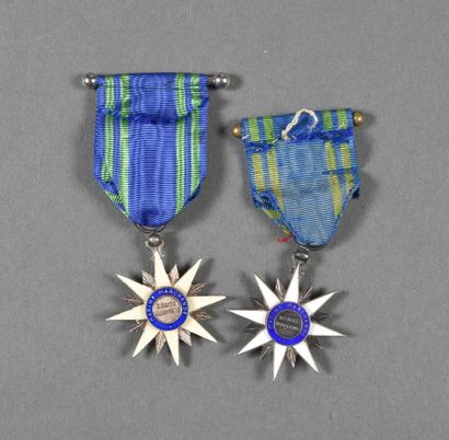 ORDRE DU MERITE MARITIME, officier métal,...