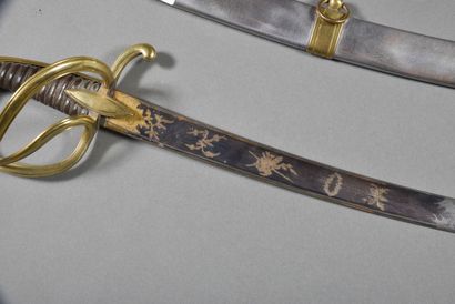 Light Cavalry officer saber, 3 pronged hilt,...