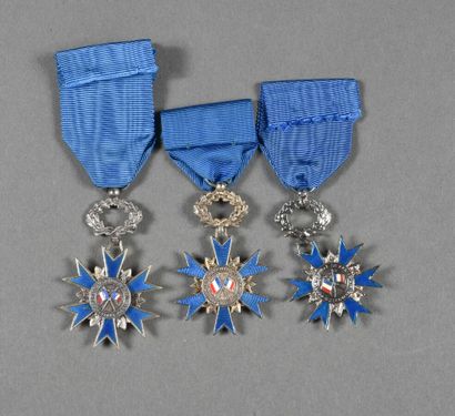 ORDRE NATIONAL DU MERITE, chevalier métal,...