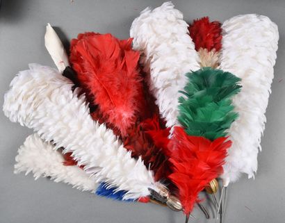Antique and modern plumes, set of 15.