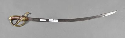 Light Cavalry Officer's saber, 3-pronged...