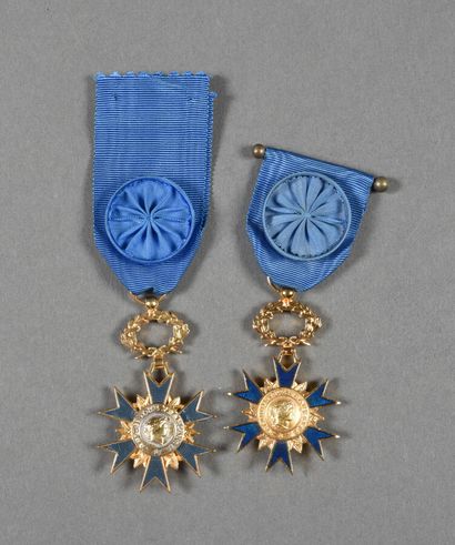 ORDRE NATIONAL DU MERITE, officiers métal,...