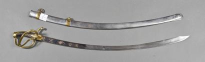 Light Cavalry officer saber, 3 pronged hilt,...