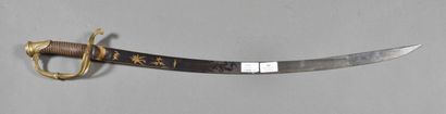 Officer's sword mod.1821, blue and gold blade...