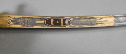 Regulation saber of senior officer of the...