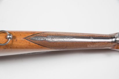2-shot shotgun, engraved locks 