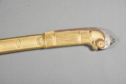 Regulation saber of senior officer of the...
