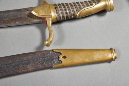 Saber of Reward known as 