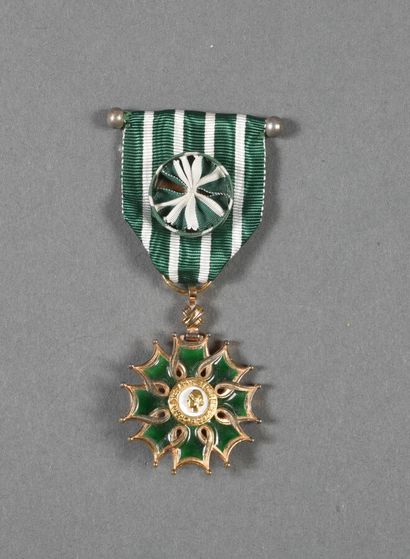 ORDE DES ARTS ET LETTRES, officier, verm...