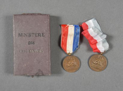 Médailles des EPIDEMIES, du Ministère de...