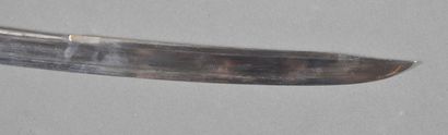 Regulation saber of senior officer of the...