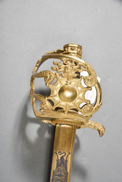 Regulation saber of senior officer of the...