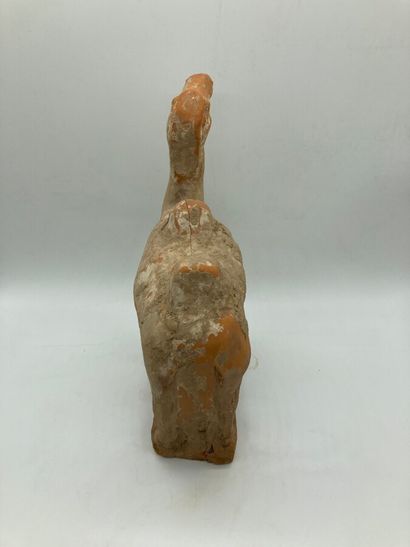 Red terracotta camel with earthy patina.

China,...