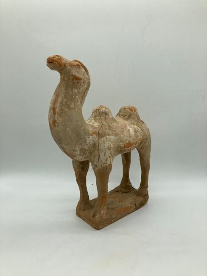 Red terracotta camel with earthy patina.

China,...