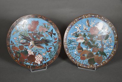 JAPAN

Two dishes with polychrome cloisonné...