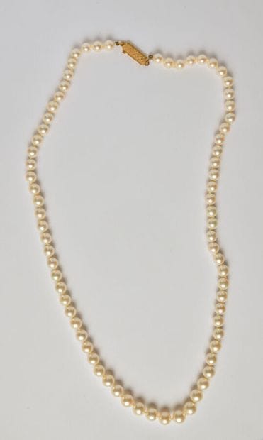 Necklace of white cultured pearls in very...