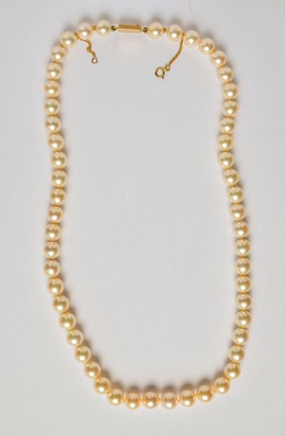 Necklace of Akoya cultured pearls in choker...