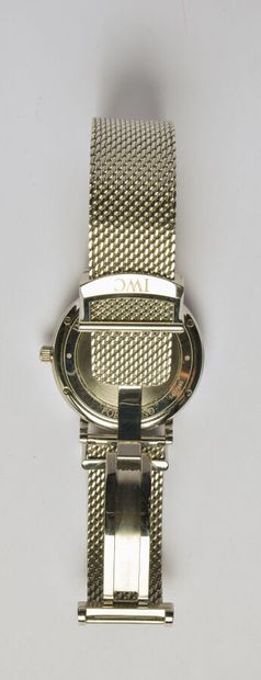 IWC: Steel watch, 