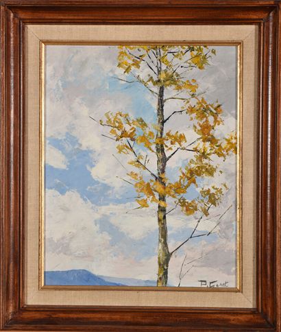 Paulette GENET (1892-1983).
Tree on stormy...