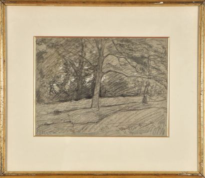 François VERNAY (1821-1896).
Arbres en automne.
Fusain...