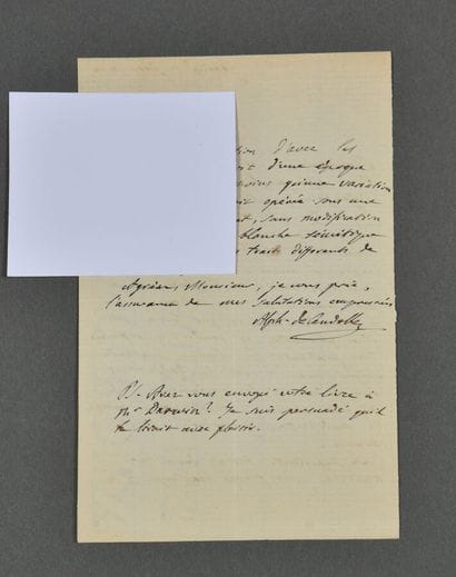 Alphonse de CANDOLLE (1806-1893), botaniste...