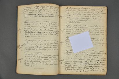[DANUBE]. Manuscrit du XIXe siècle, 158 pp....