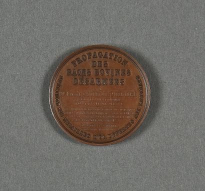 [Isidore GEOFFROY SAINT-HILAIRE (1805-1861),...