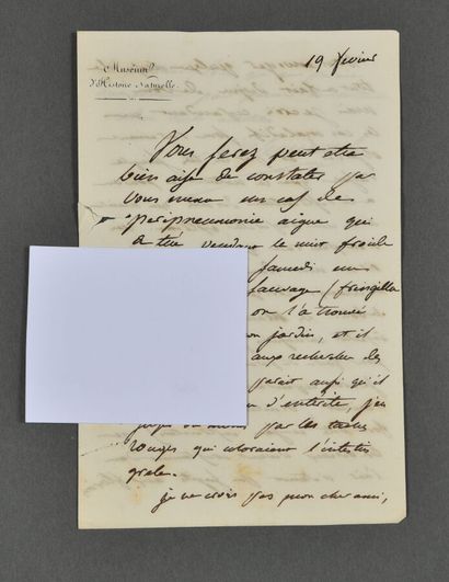 Achille VALENCIENNES (1794-1865), zoologiste,...
