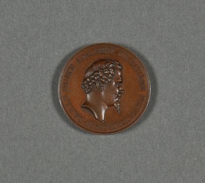 [Isidore GEOFFROY SAINT-HILAIRE (1805-1861),...