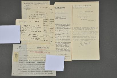 [CHAUVES-SOURIS]. Correspondance de 22 lettres...