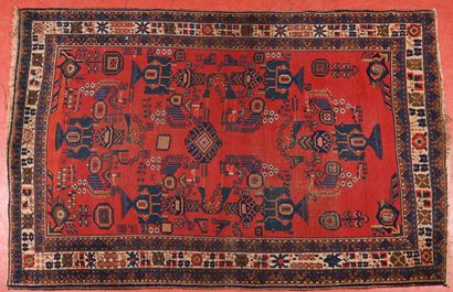 Tapis Iran Afchard. 
Chaine, trame coton,...