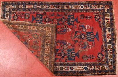 Tapis Iran Afchard. 
Chaine, trame coton,...
