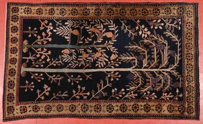 Tapis Iran (probablement) Malayer. 
Chaine,...